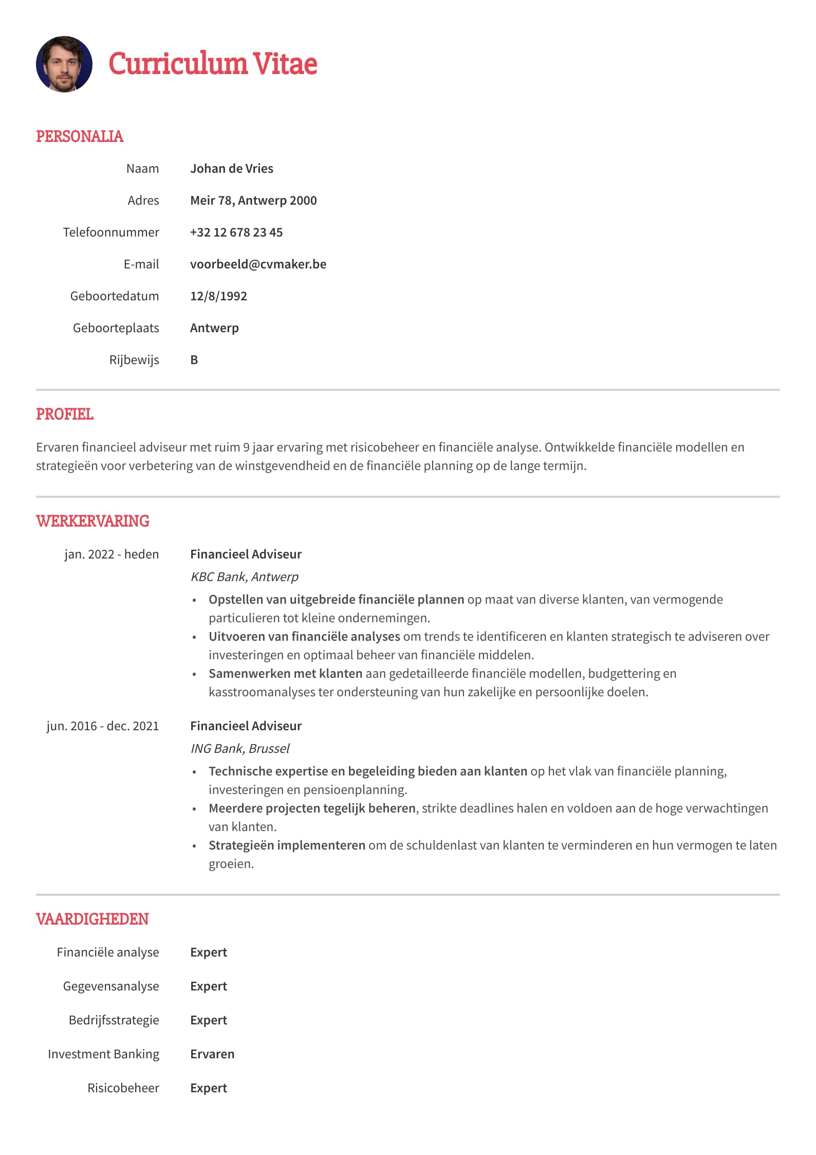 Eenvoudig cv voorbeeld