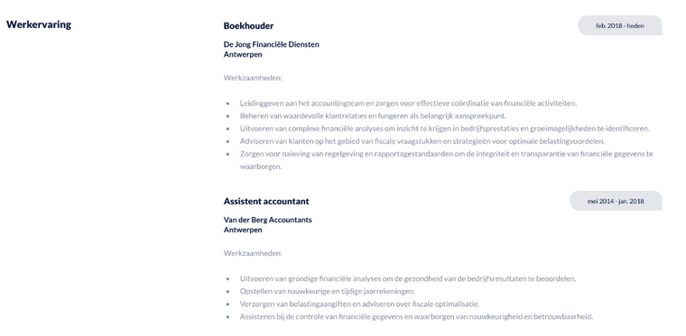 Accountant-cv werkervaring